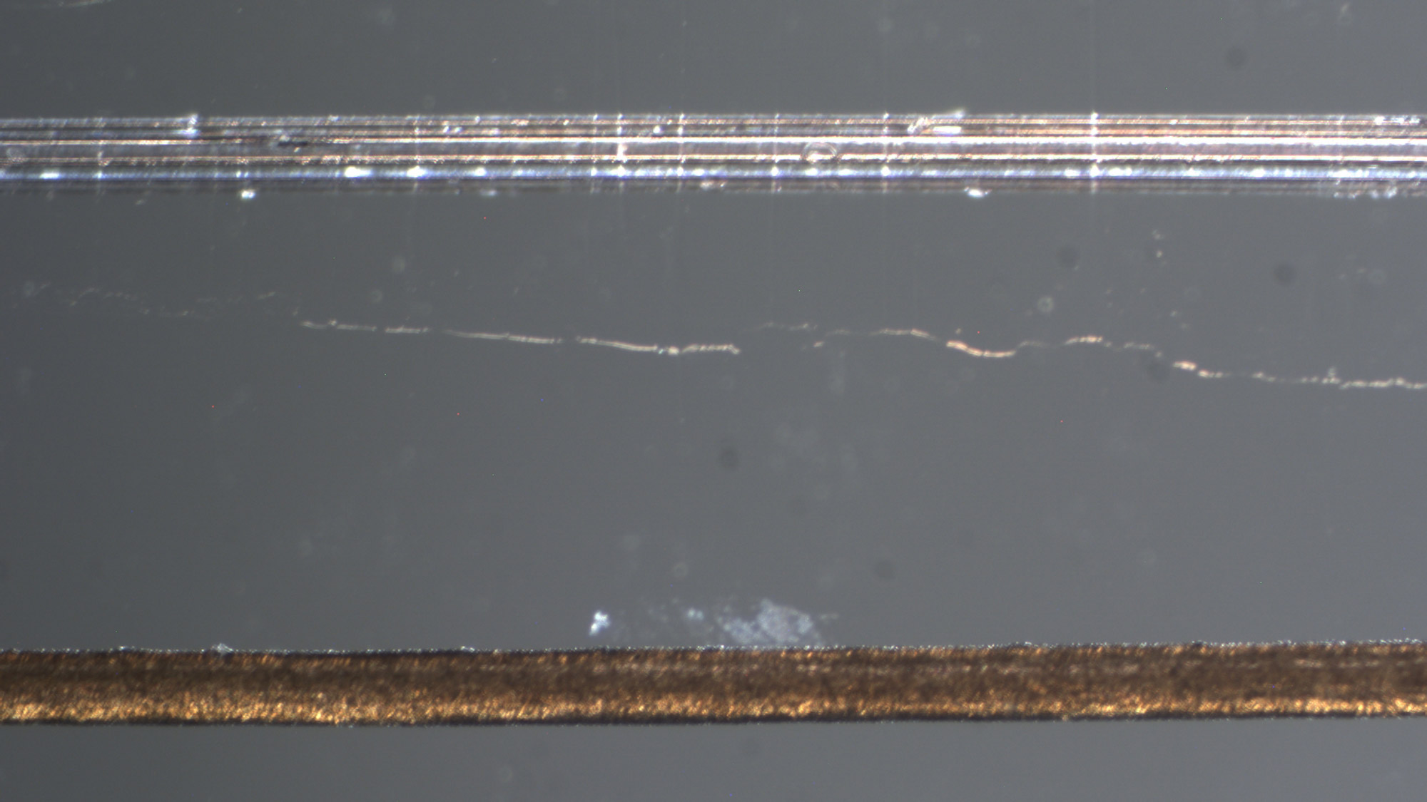 comparing fibers